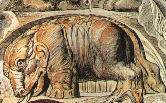 Катоблепас. Изображение с гравюры к средневековому бестиарию. Фрагмент
